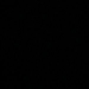 Meet your Posher, Jada